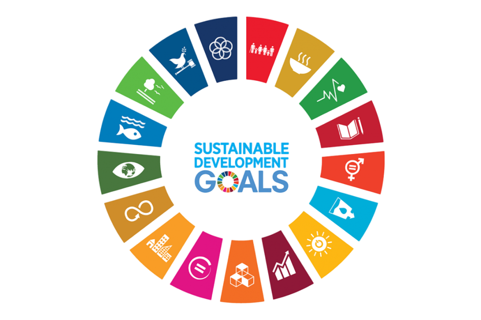 Logo de los SDGs de Naciones Unidas